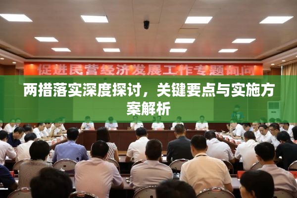 狗急跳墙打一个正确生肖，全面释义、深度解答解释落实